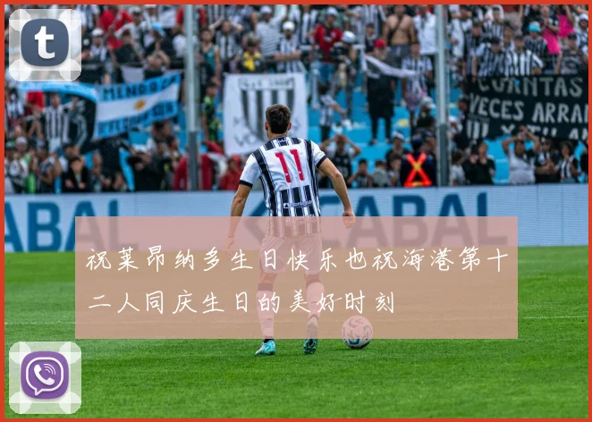 祝莱昂纳多生日快乐也祝海港第十二人同庆生日的美好时刻
