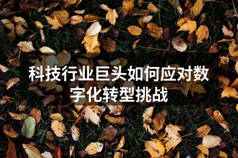 科技行业巨头如何应对数字化转型挑战